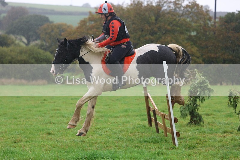 3E7A1009 - Class 1: 65cm: Rails