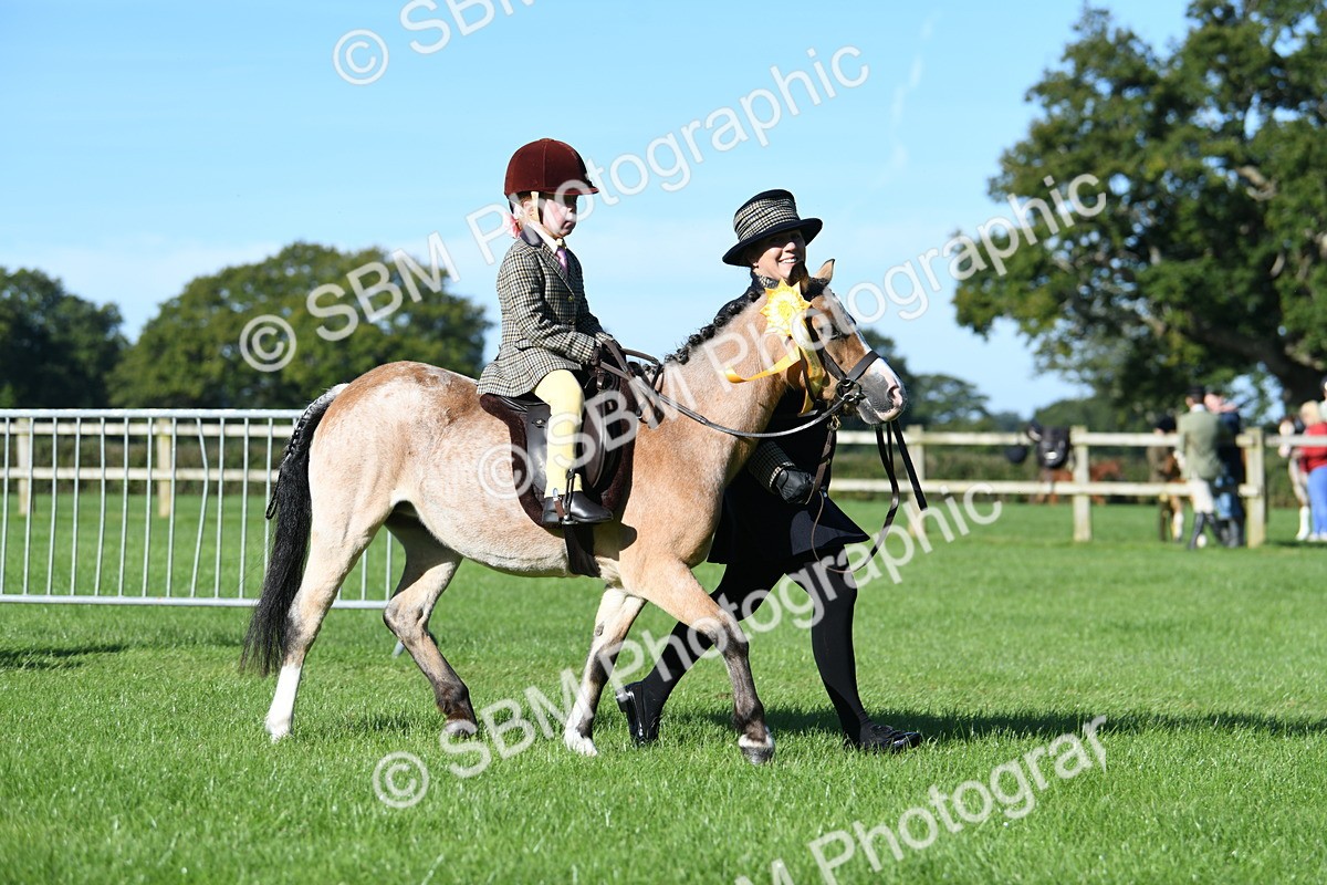SBM_35519 - S17 - Condition & Turnout - Lead Rein