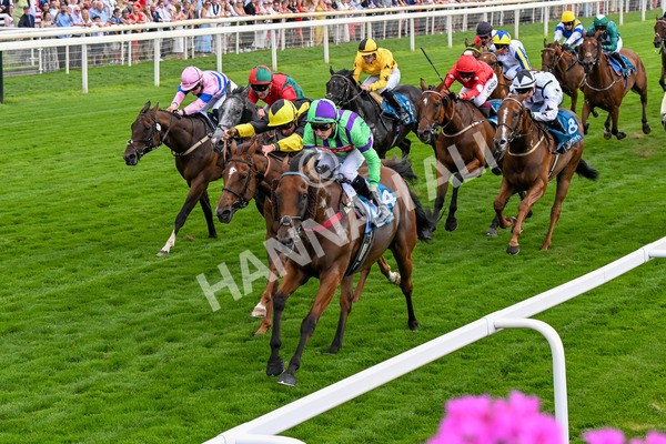 260725-Race 6-Billyb-0818 - Race 6 4.25pm Sky Bet Go-Racing-In-Yorkshire Summer Festival Handicap