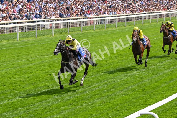 260725-Race 3-Royal Champion-7436 - Race 3 2.40pm Sky Bet York Stakes