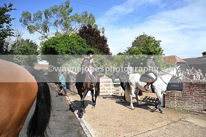 WJ7_7194 - Berks & Bucks at Blandy’s Farm 31-08-25