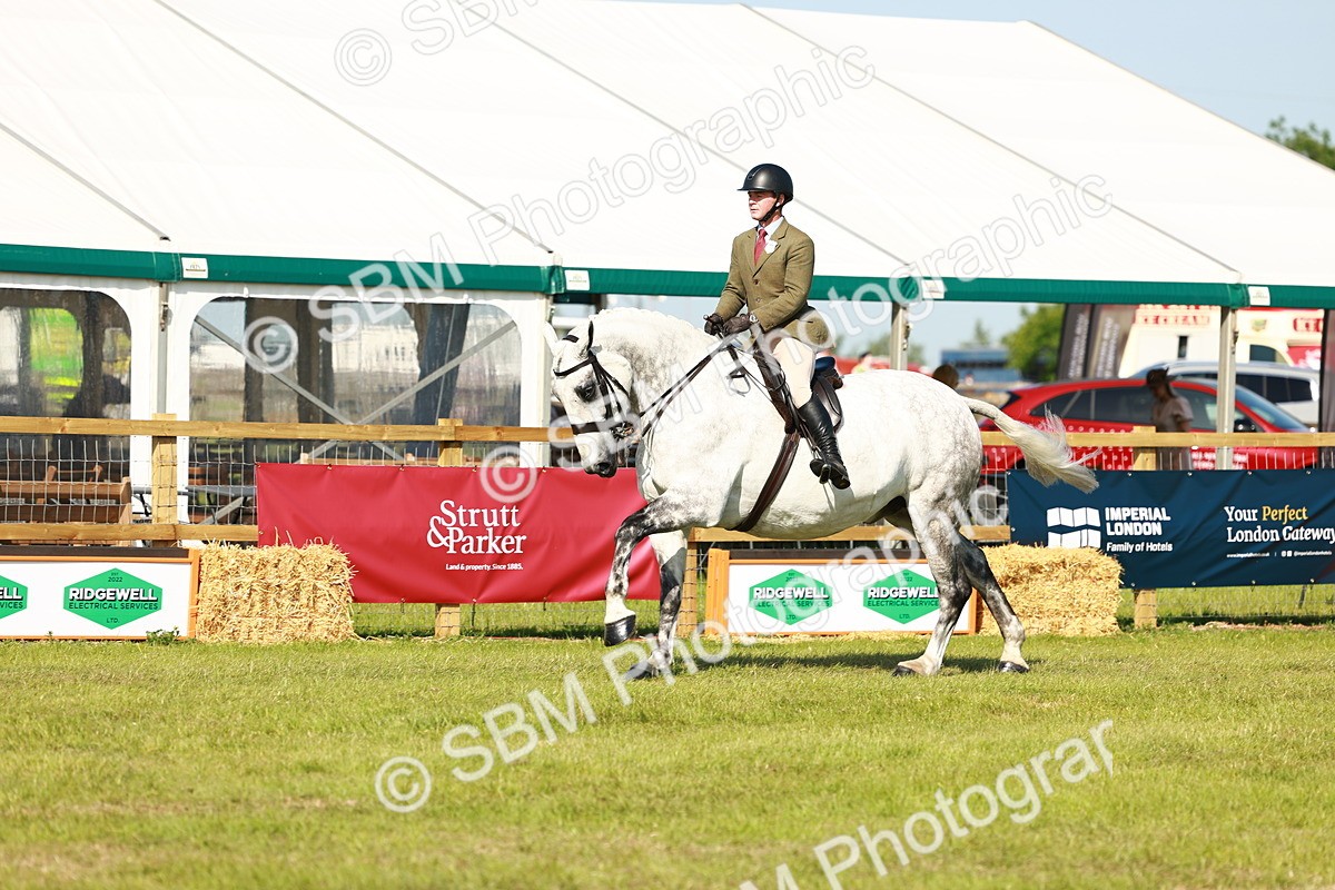 SBM_11823 - Class 66-69 - RIHS Ridden Hunters Inc Small Hunter