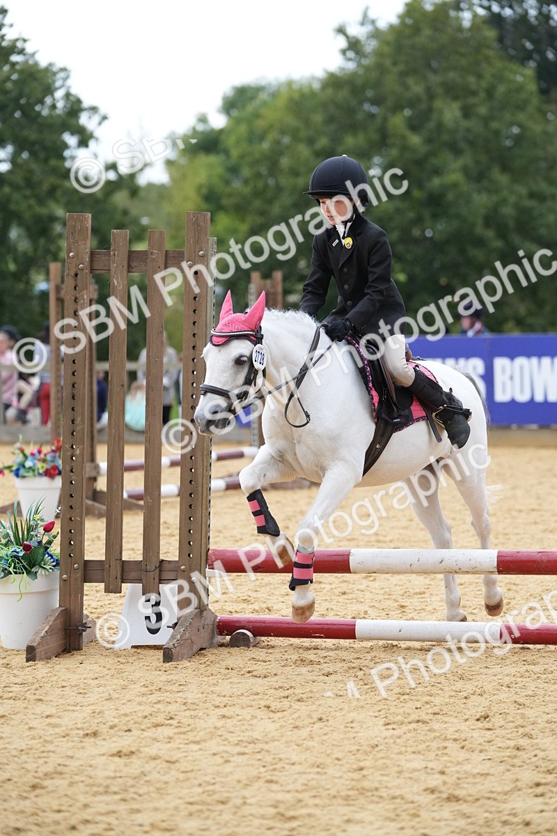 SBM_74646 - J4 - Mini Tour Junior Pony 45cm Championship