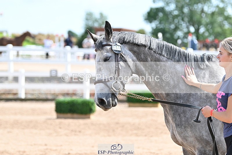 240717A-150601-02537 - Trot Up 3pm to 4pm