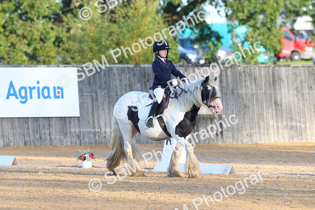 SBM_33417 - D26 - Test Starter Test 1