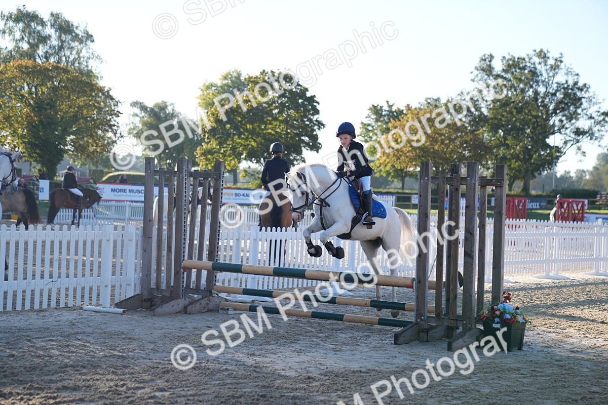 SBM_14006 - J59 - Clear Round - 65cm