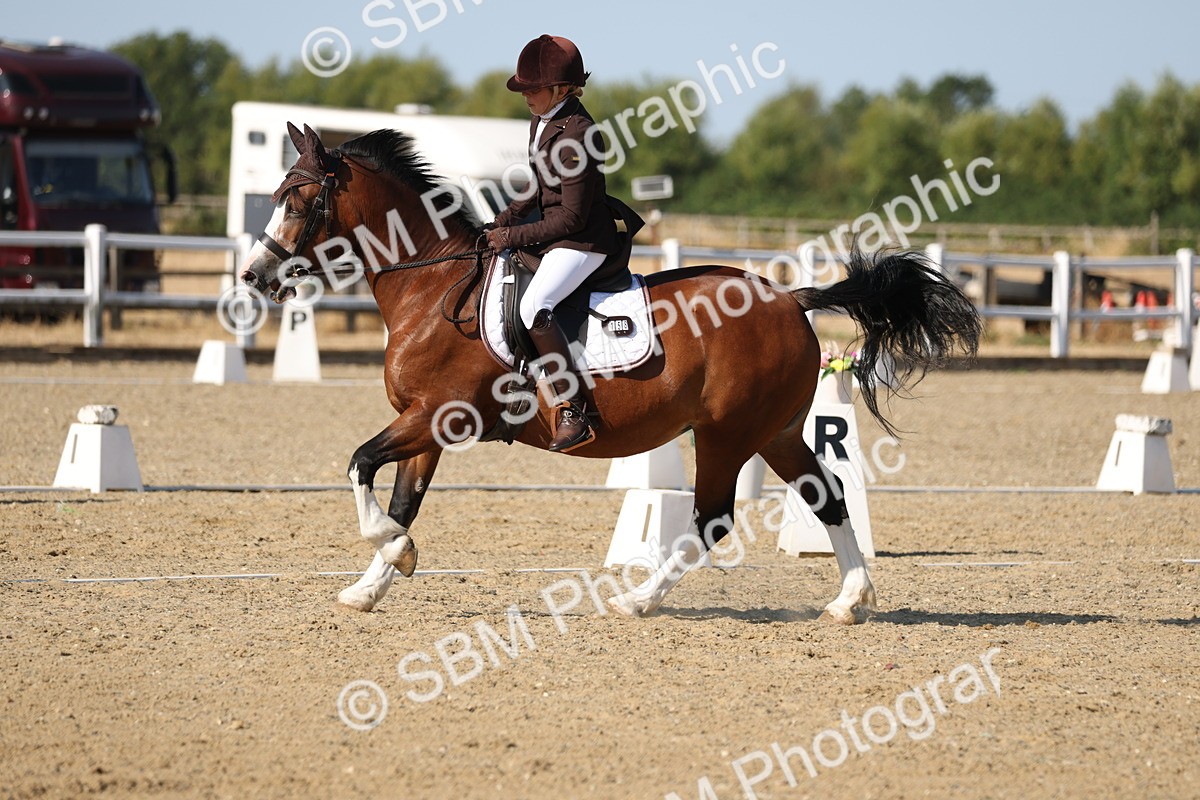 SBM_012795 - Class 1 - P5 Bronze 9.00.10.12