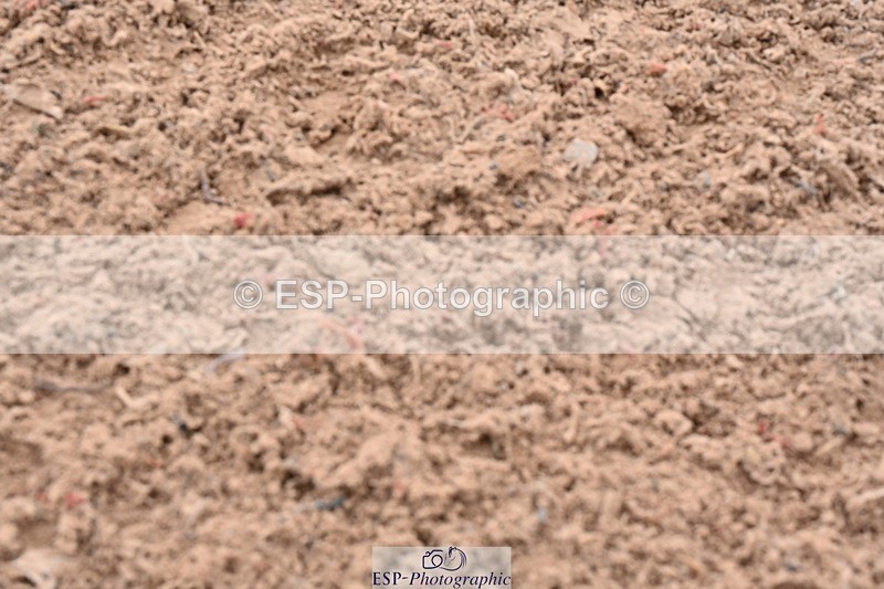 250718-170331-11989 - Cls 10, 1 Star Bronze Tour