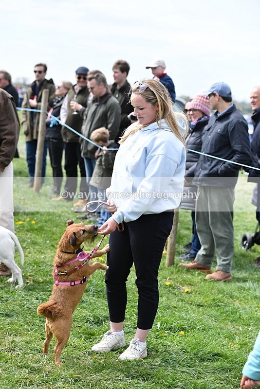 WJ5_0597 - Class 7 Best Terrier