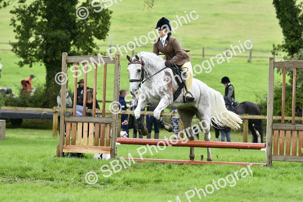 SBM_41446 - S32 - Mountain & Moorland Working Hunter Pony