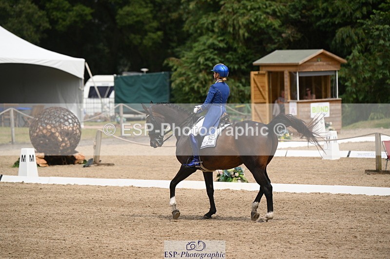 250719A-140306-05878 - 038-Natasha.Collings-Costello-Dovevale.Tender.Dove