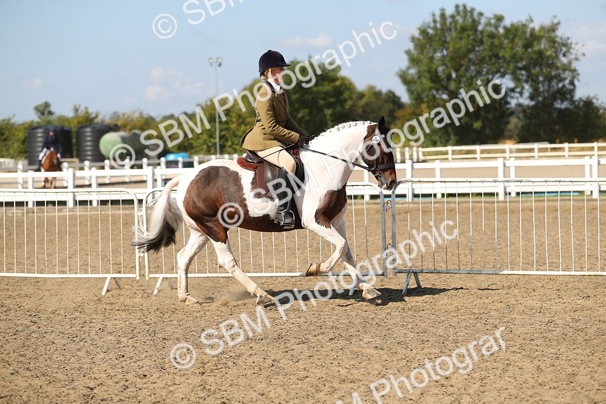 SBM_03150 - Class 44 Riding Club Horse/ Pony
