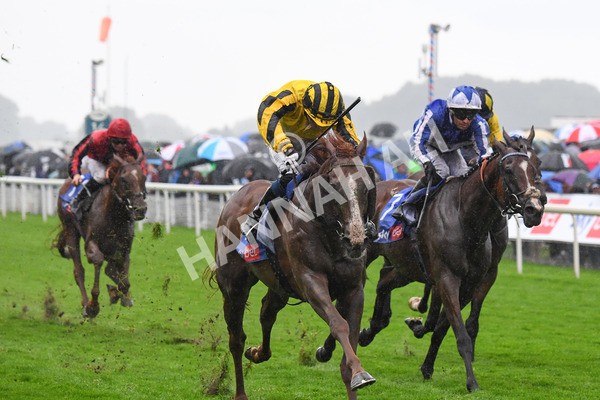 yr21082021r4-69 - Race 4 3.35pm Sky Bet Ebor