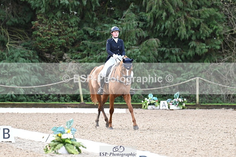 251023A-101617-01470 - B-128-Holly.Law