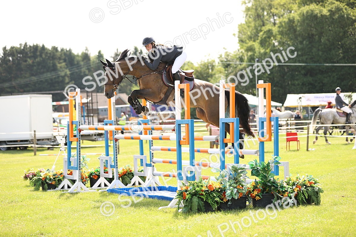 SBM_02953 - Class 201 - British Horse Feedds Speedi Beet HOYS Grade C