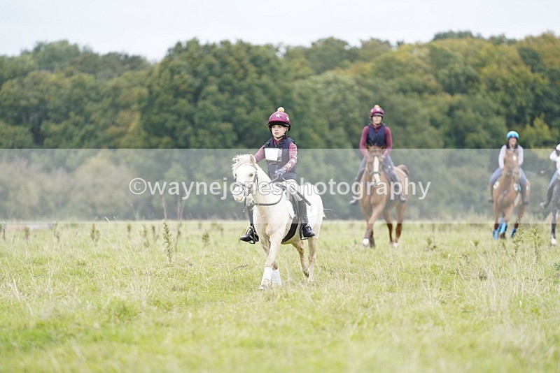 _DSC6934 - Time at Photographer 10:13 to 10:42