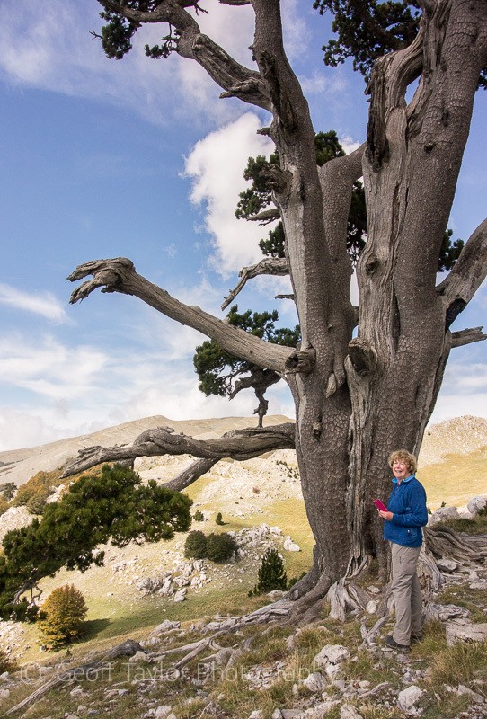 Monte Pollino walk - Naples, Padula & Northern Calabria
