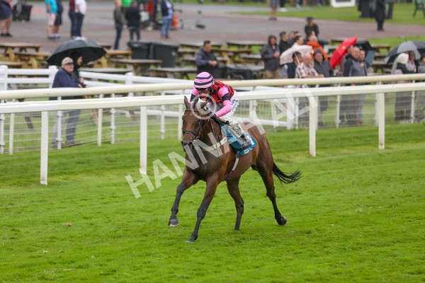 140723-Race 4-Andaleep-8578 - Race 4 3.50pm Azets Handicap