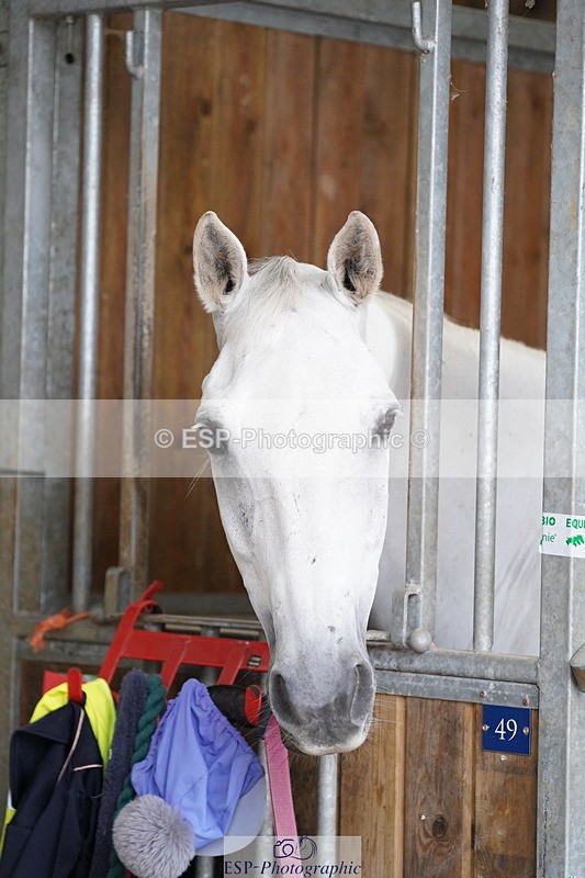 240809A-134646-01018 - Stable Shots