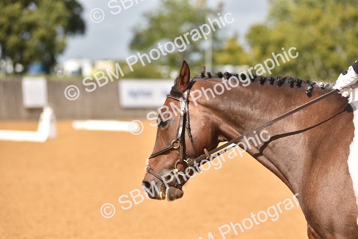 SBM_07742 - D15 - Small Tour Championship Novice 1