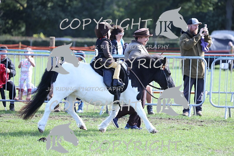 APP_3961 - Class 13 Lead rein