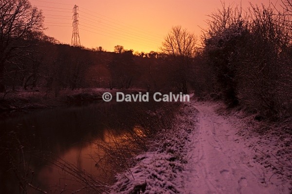 Orange Glow - Winter