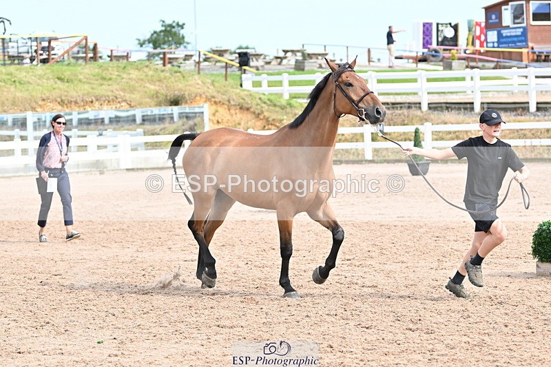 240717A-165748-03573 - Trot Up 4pm to 5pm