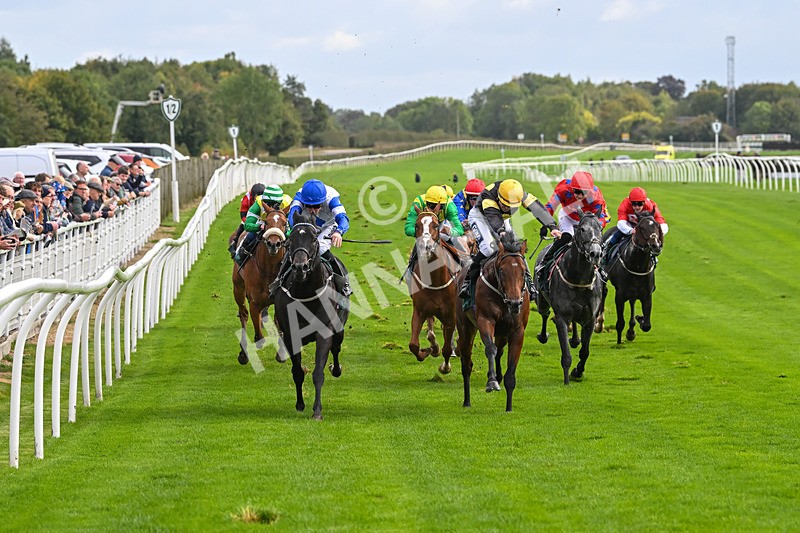 021024-Race 2-Al Hussar-9154 - Race 2