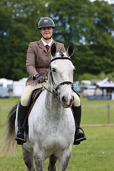 IMG_2812 - Working Hunter