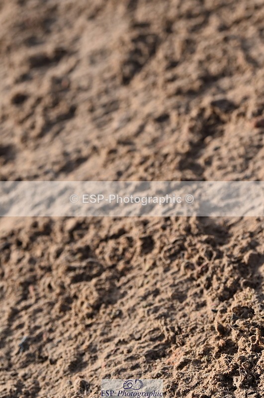 231028A-105844-00648 - Cls 2 British Novice & 80cm Open