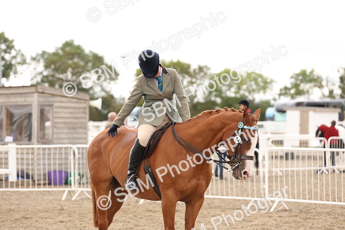 SBM_02925 - Class 53 - Ridden Competition Horse/Pony