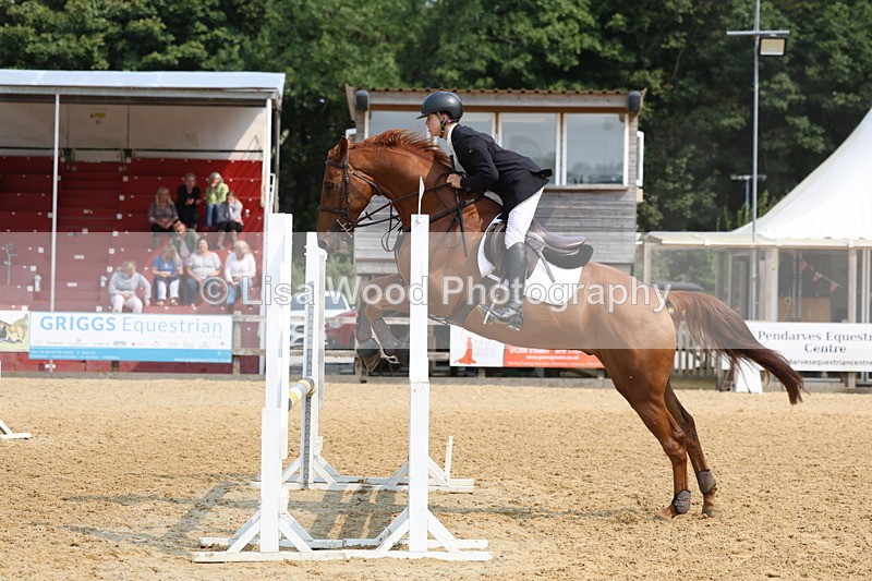3E7A1244 - Class 4: Senior British Novice/90cm open