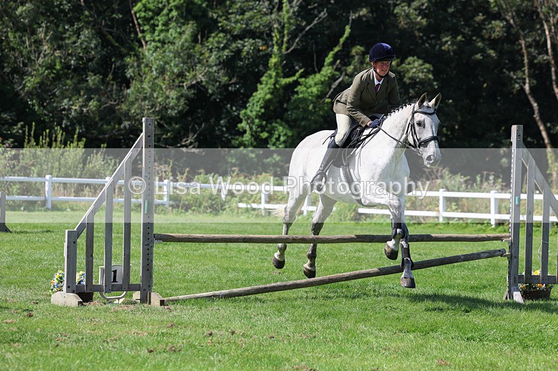 3E7A8571 - Class 5: Working Show Horse