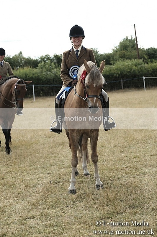 _PJP6124 - Ridden Championship BVRC Show 2018