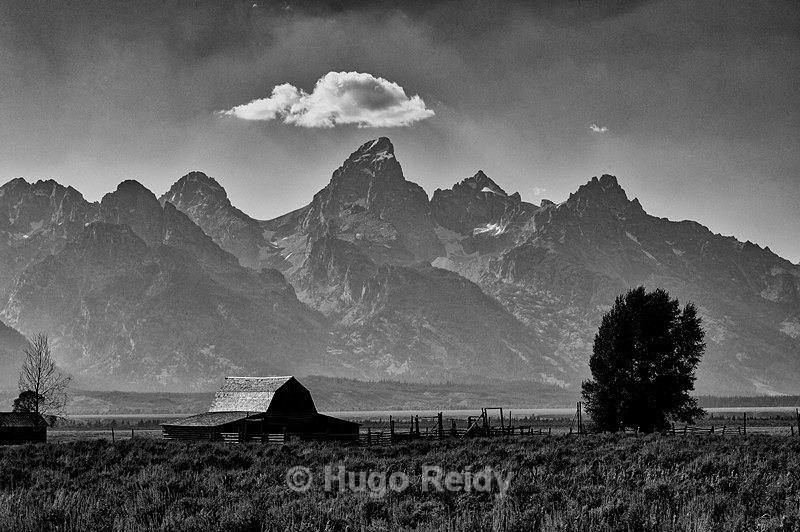  - Yellowstone