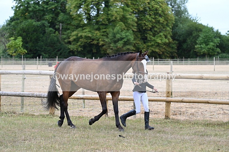 WJ7_8786 - Class 4a Prettiest Mare 14.2hh and over