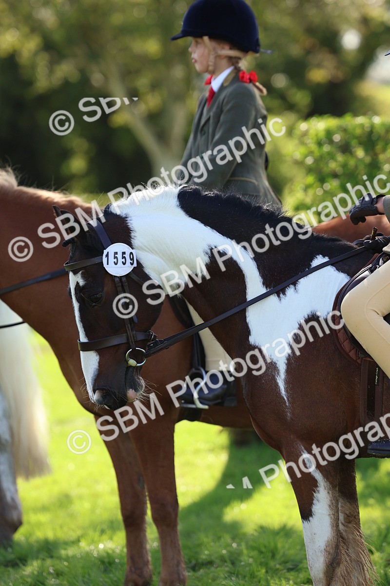 SBM_45289 - S27 - Young Veteran Ridden