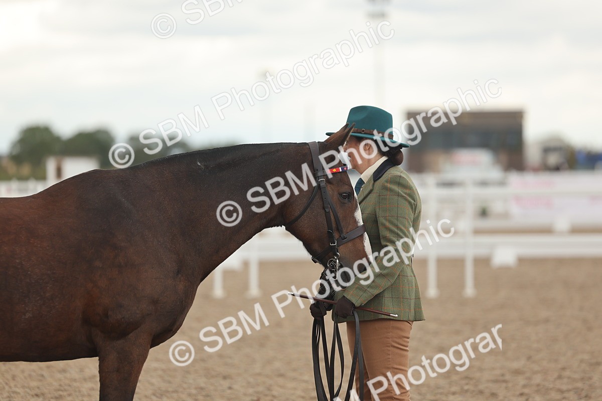 SBM_07654 - Class 26 - IH Foreign Breeds - Part Bred