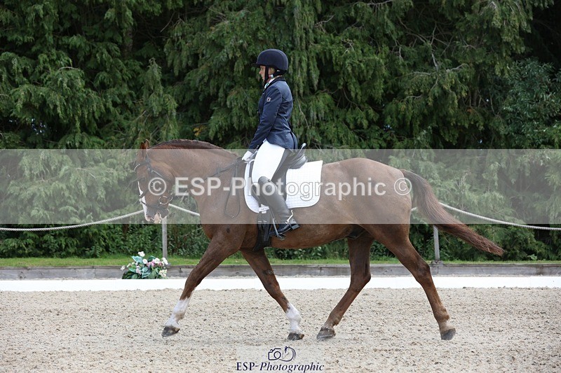 230812-134624-04307 - Cls 5 Novice Bronze 13.40 to 14.45 break