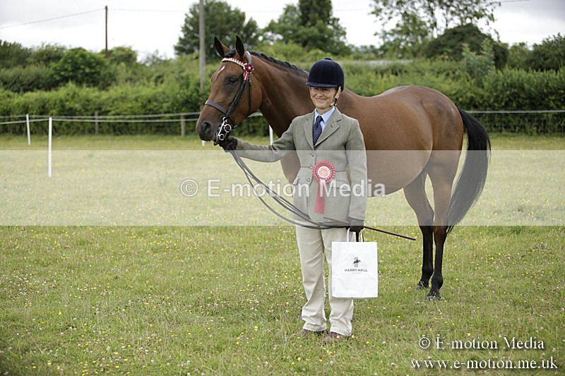 BVR160717-862 - Ring 2 BVRC Show 16/07/17