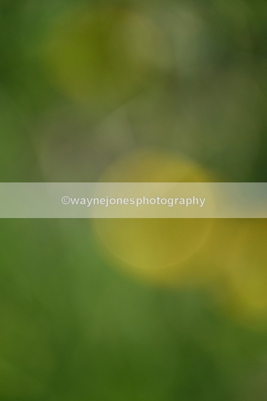 WJ7_9672 - Time 18:44 to 19:18