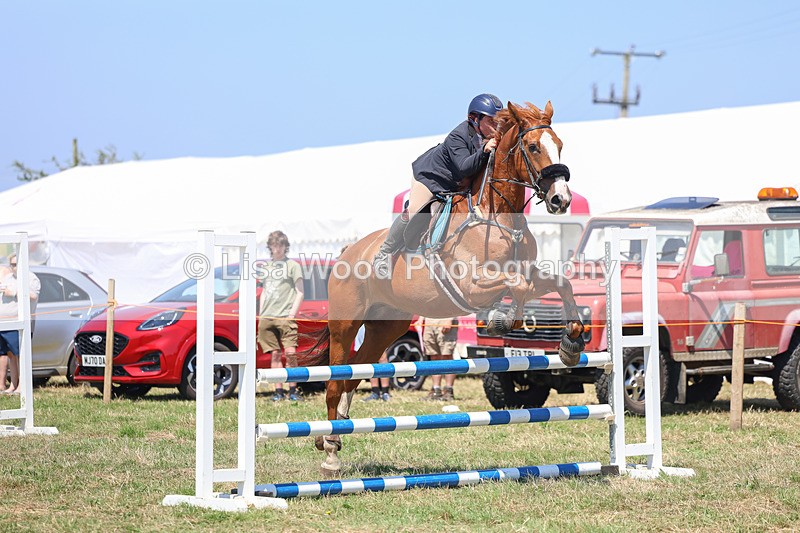 3E7A4424 - Class 10: Senior British Novice/90cm open