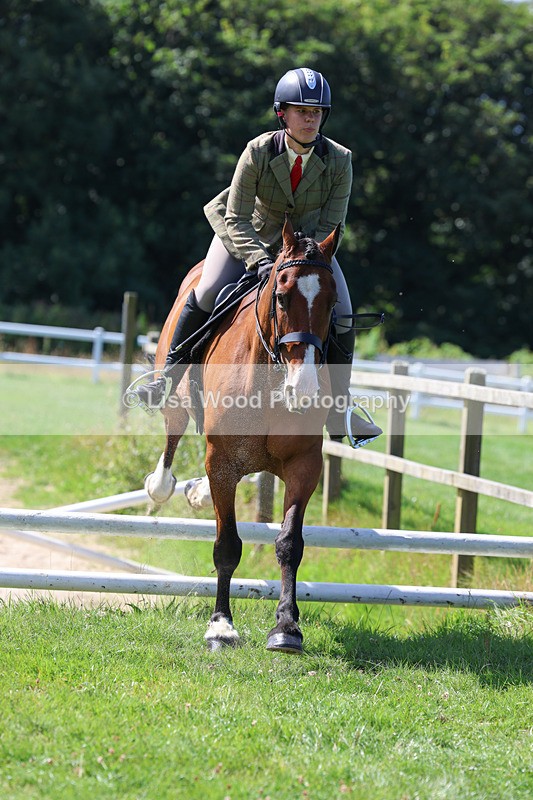 3E7A8557 - Class 5: Working Show Horse