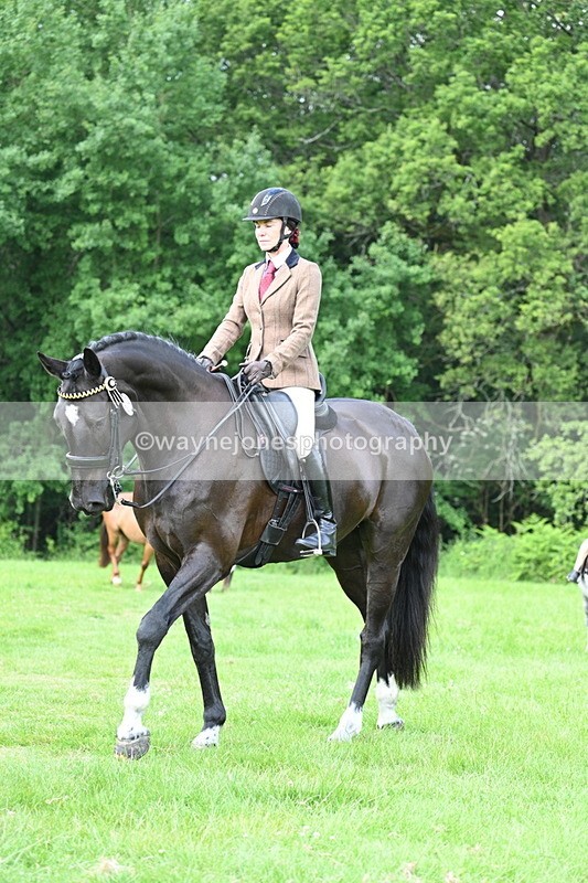 WJ7_0979 - Class 11 Condition & Turnout
