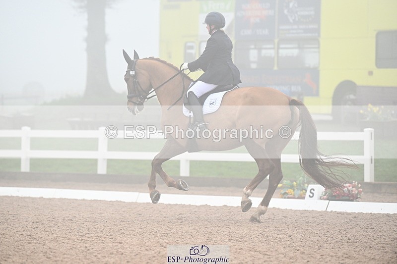 240217A-135237-03498 - 259-Claire.Speer-Joyful.Optimism