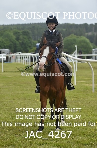 JAC_4267 - WORKING HUNTER CHAMPIONSHIP
