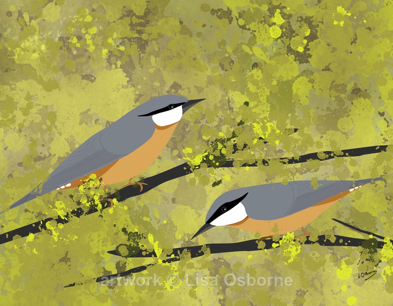 Nuthatches - DIGITAL ARTWORK