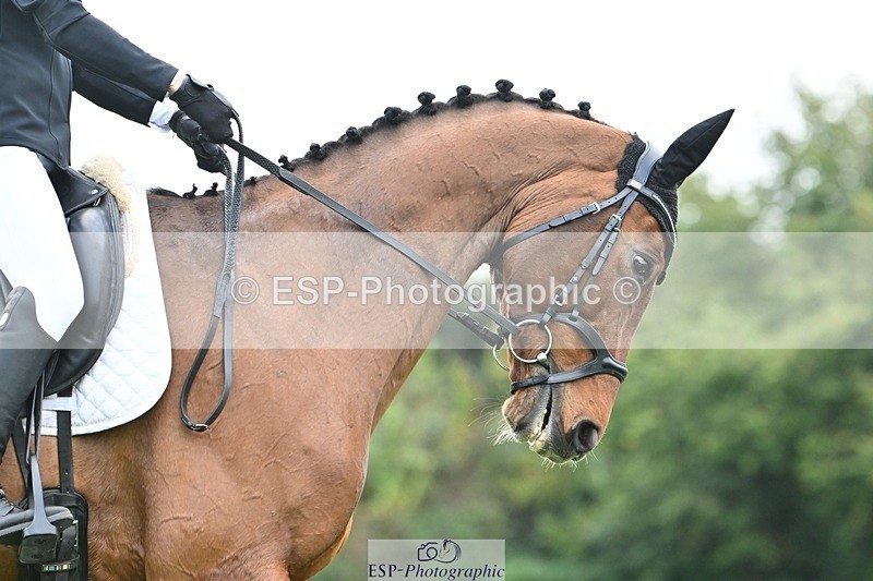 241024-095859-02069 - 301-Ilaria.Serra-DREAM.MACHINE