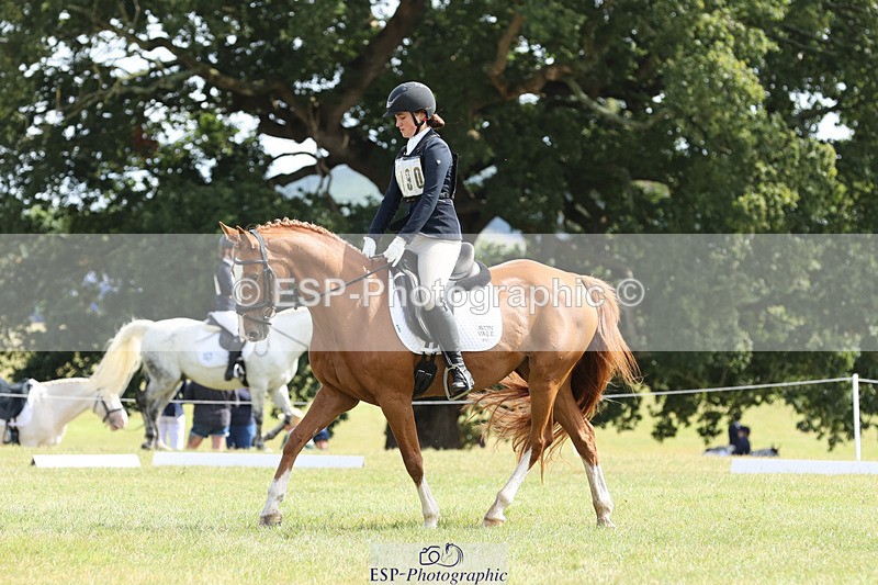 240824X-121716-27074 - D80 Section G and H 12.00 to 13.30