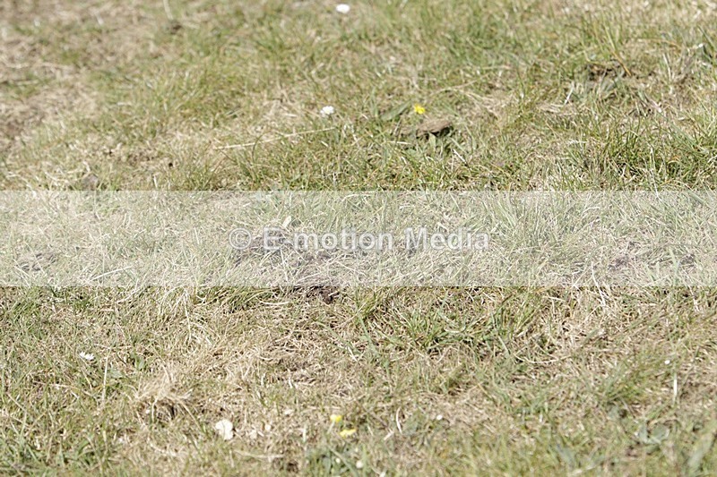 BVHT 140517 I-886 - Class 1 SJ Intermediate 14/05/17